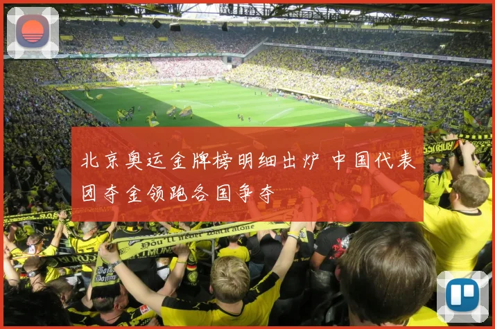 北京奥运金牌榜明细出炉 中国代表团夺金领跑各国争夺