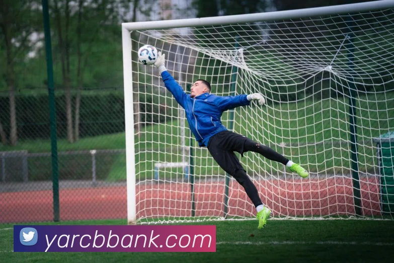 App Interface Preview